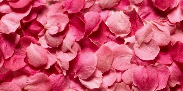 AaaaNO_0312's profile banner image