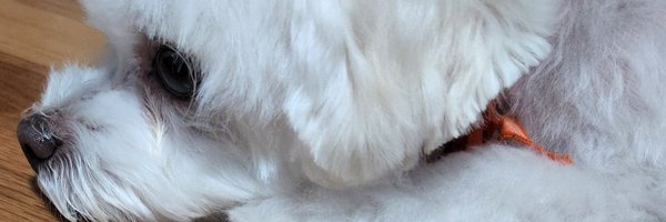 nfCTFqHs0rjWC98 Profile Banner