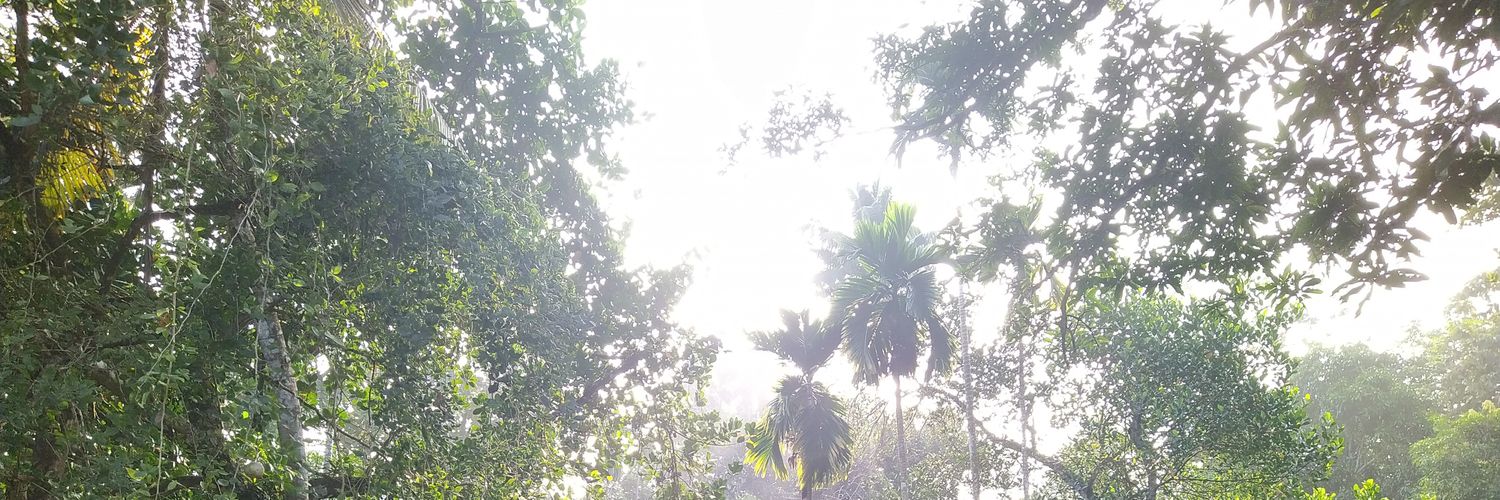 NiranjanJN 🍉 banner