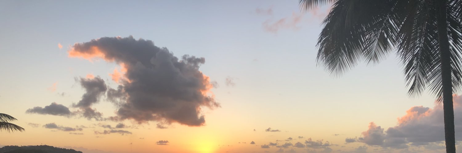 AlexaDimino's profile banner image