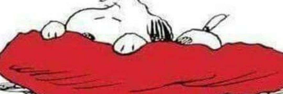 Die Schöndudlerin 📯's banner