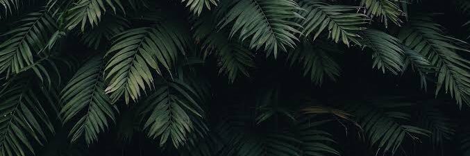 ginov23's profile banner image