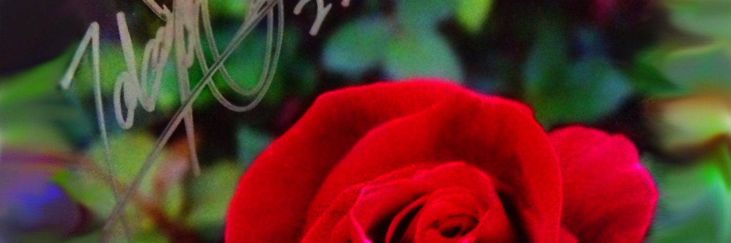 JailRose's profile banner image