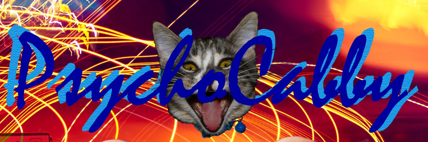 MyWebs's profile banner image