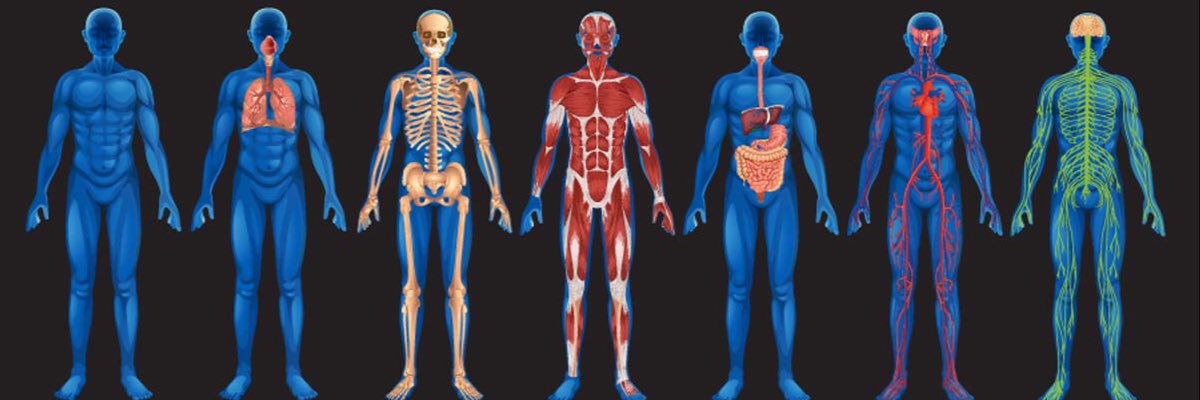 IntrospectiveWarrior banner