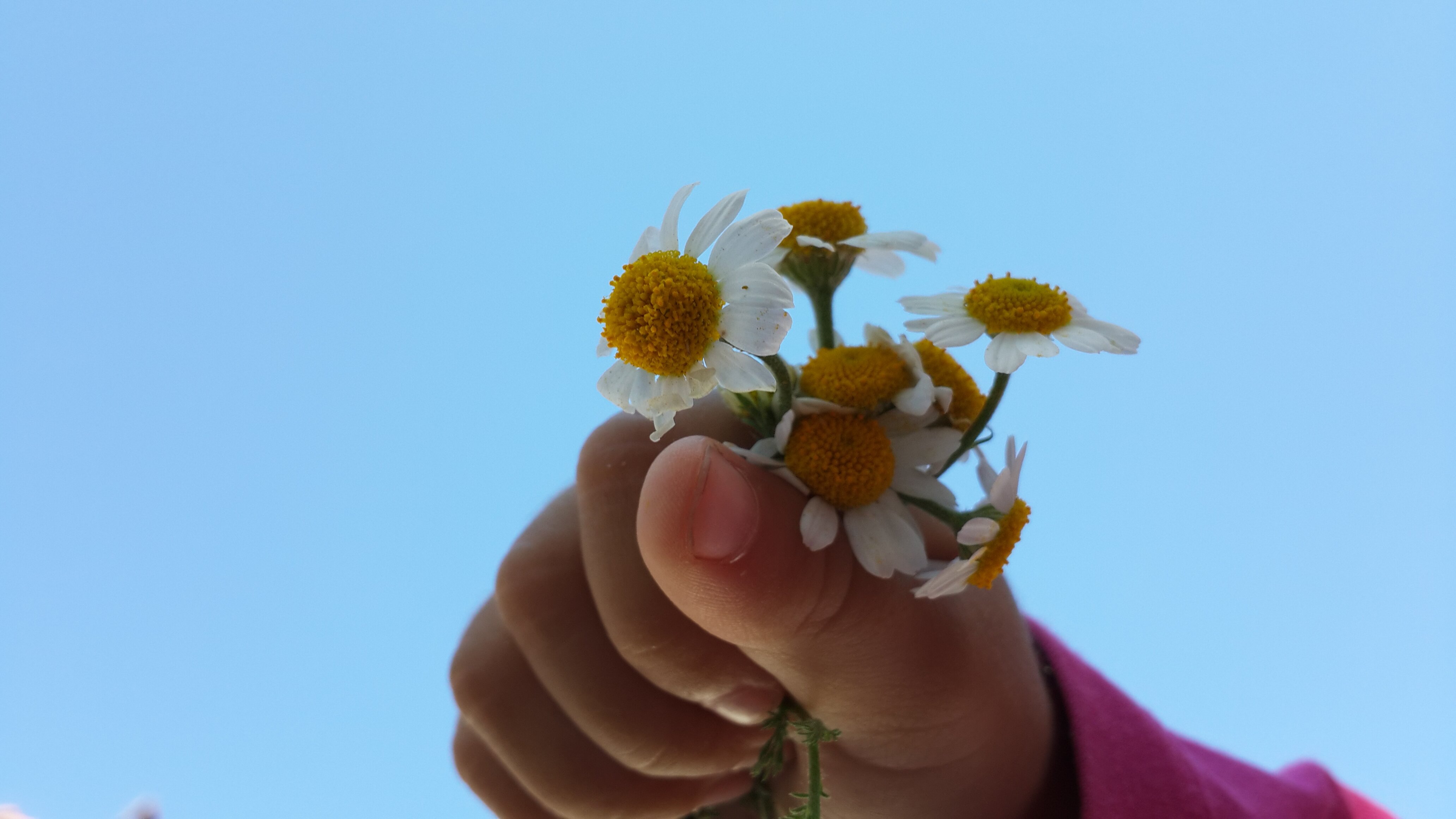 lamsla's profile banner image