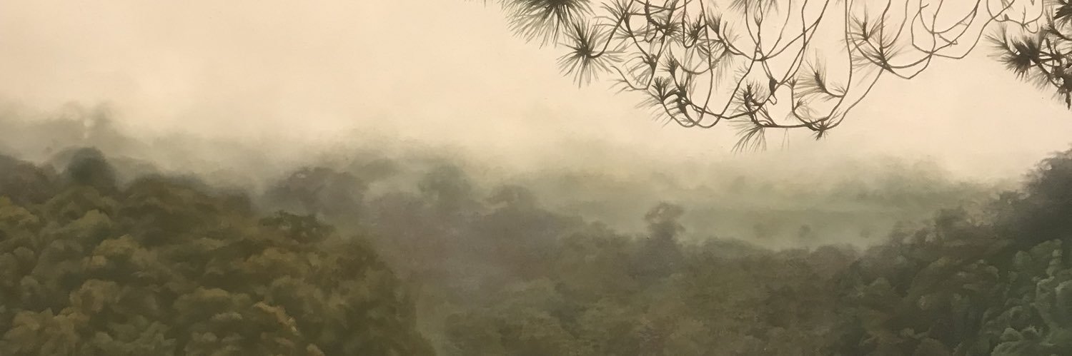 daisunflo's profile banner image