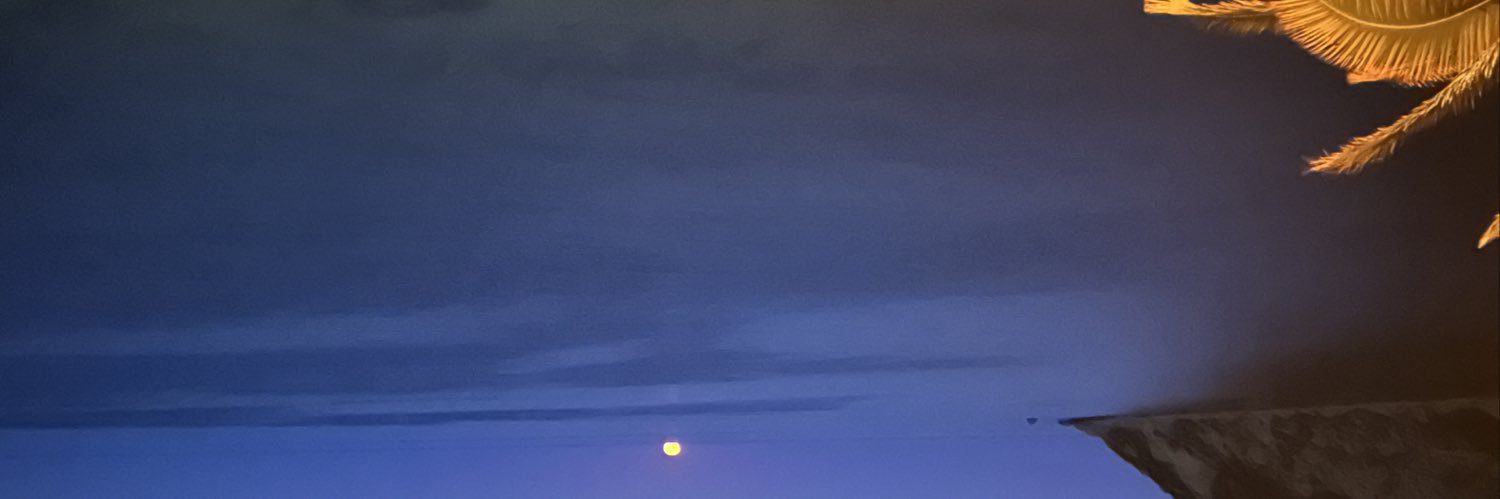 SavioZ25's profile banner image