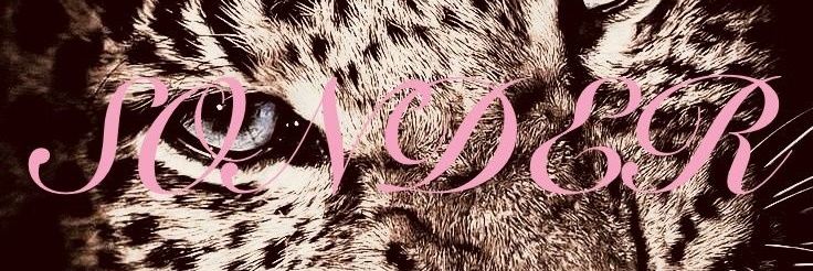 yixtulips's profile banner image