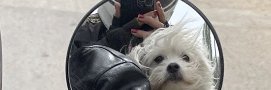 café au lait banner