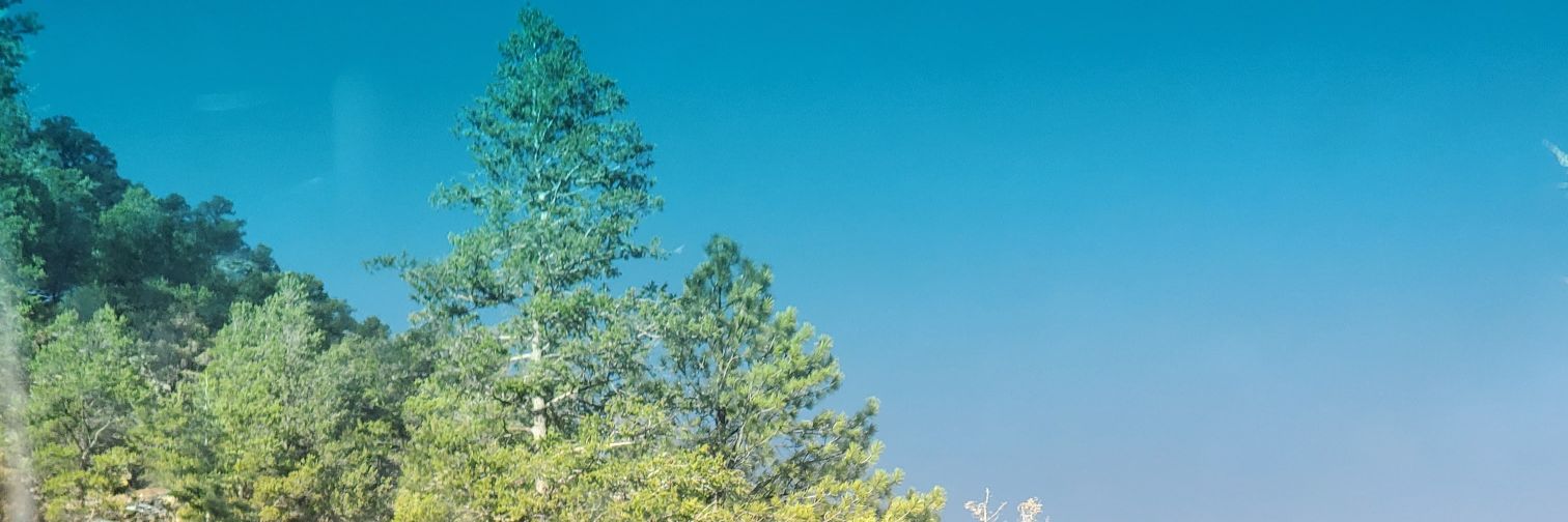 Nero the Lantern banner