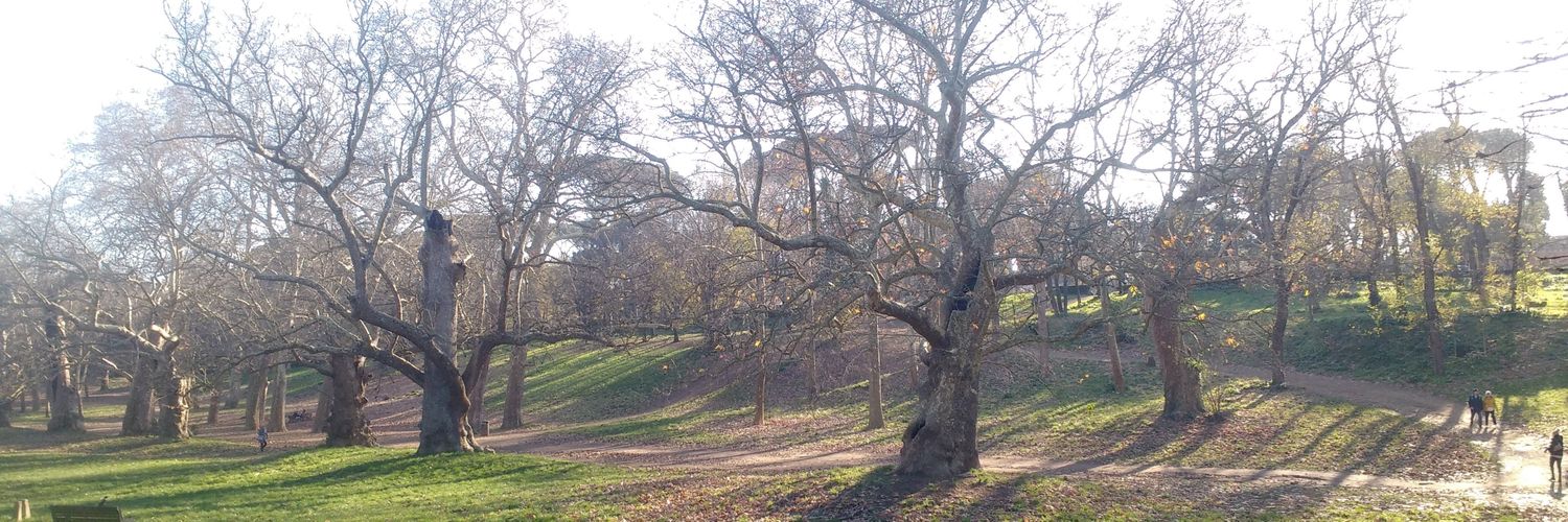 The flying hermit. banner