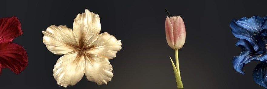 krrhll's profile banner image