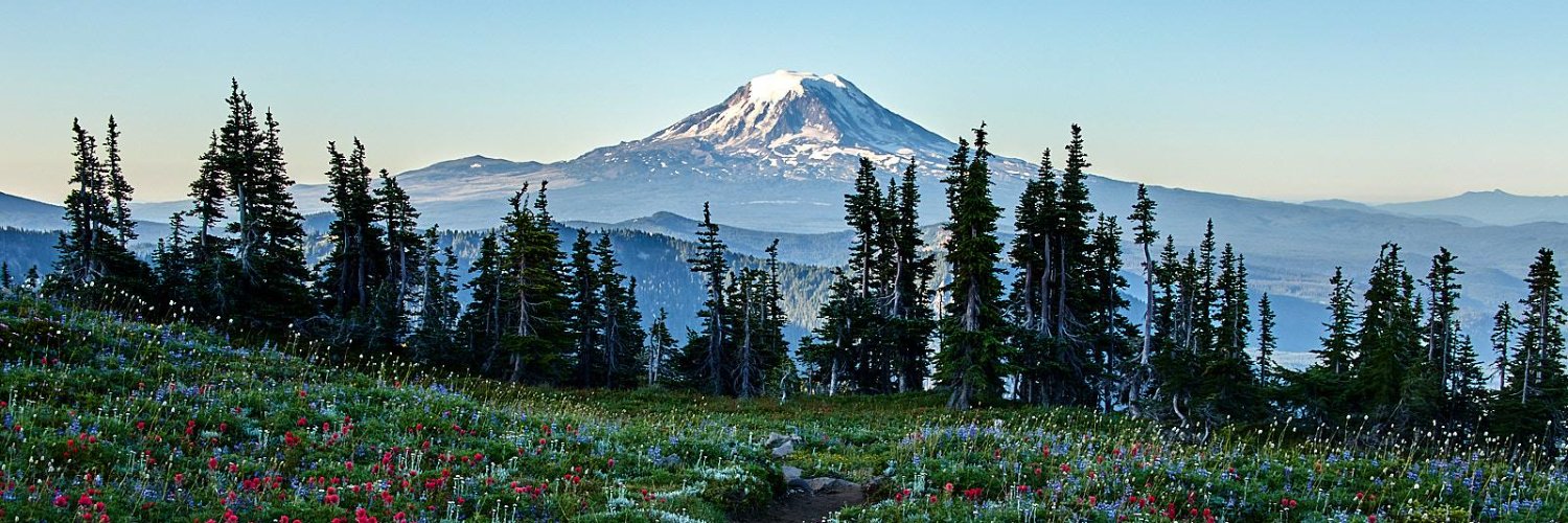 Chuck Hoffman banner