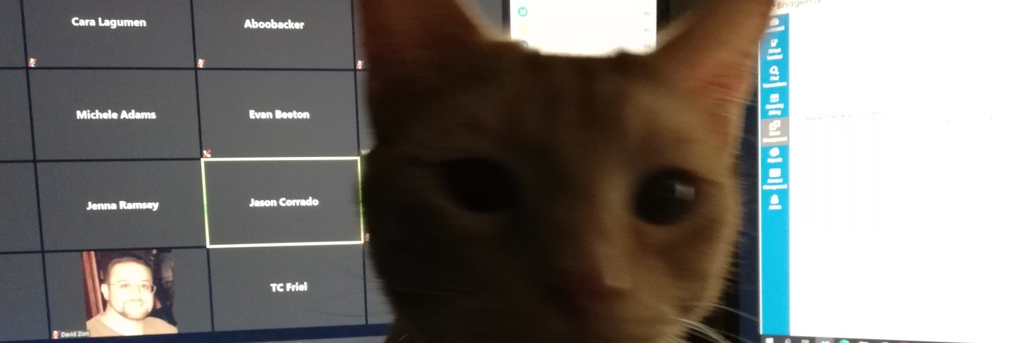 Cara banner