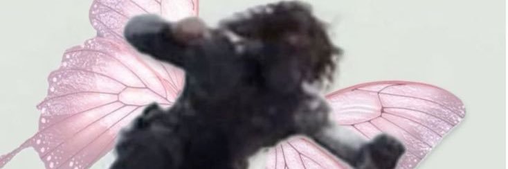 ♡ Duckie ♡'s banner