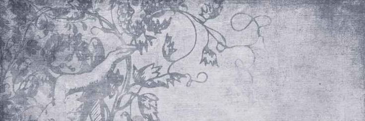 ourq ꒰ᐢ. .ᐢ꒱ banner