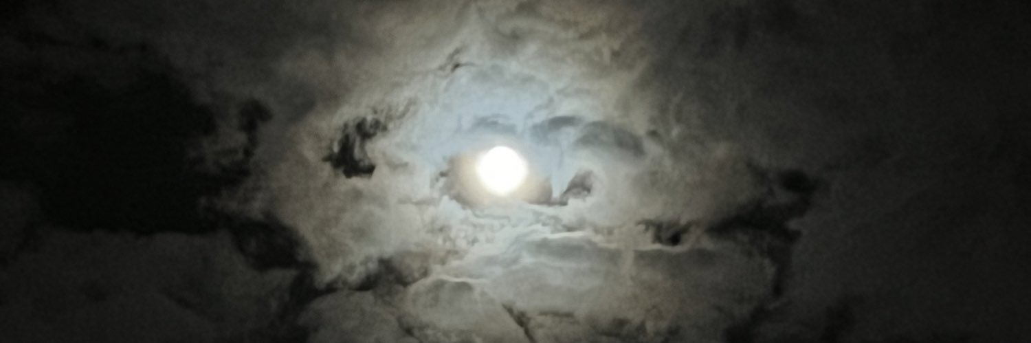 meekthadon's profile banner image