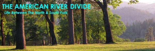 ARDivide's profile banner image