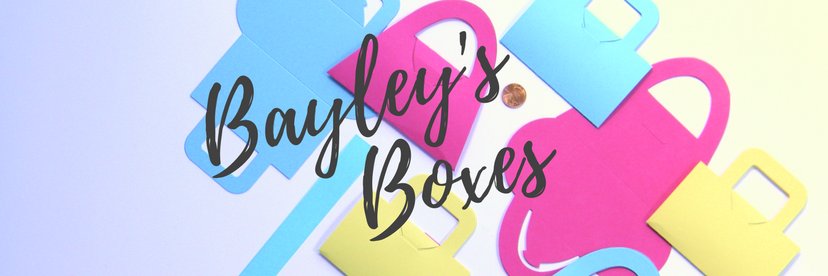 bayleysboxes's profile banner image