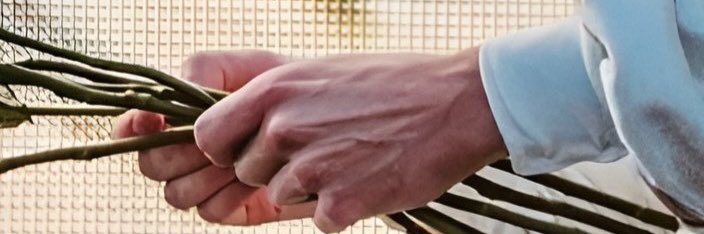 tpwgvf's profile banner image
