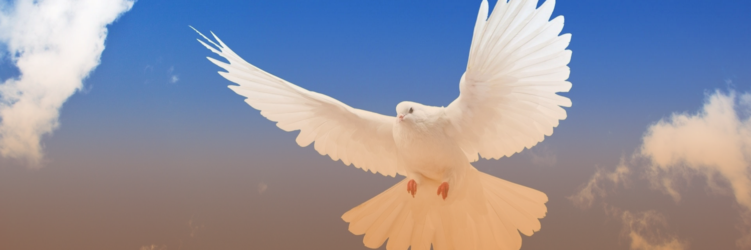 ruwebsitecom's profile banner image