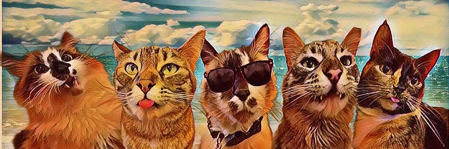 🌸🐈Skippy🐈Kevy🐈Badger🐈Sunny🐈Basil🌸's banner