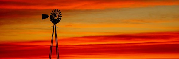 Ledhedd Profile Banner