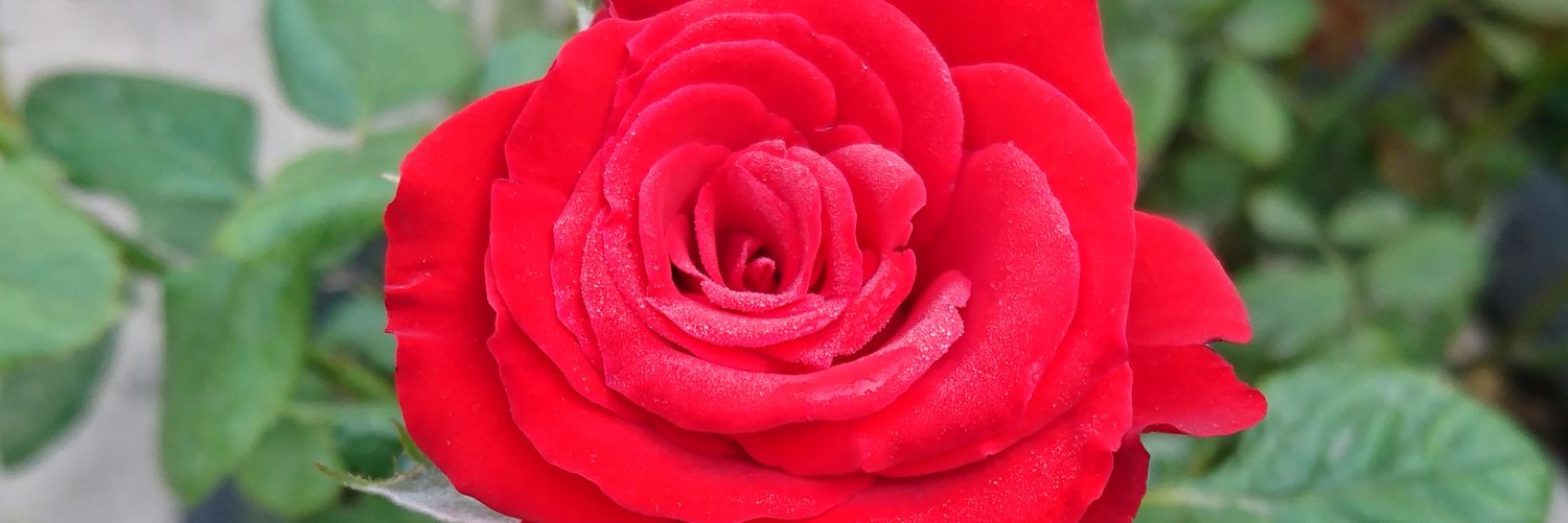 khangtv4's profile banner image