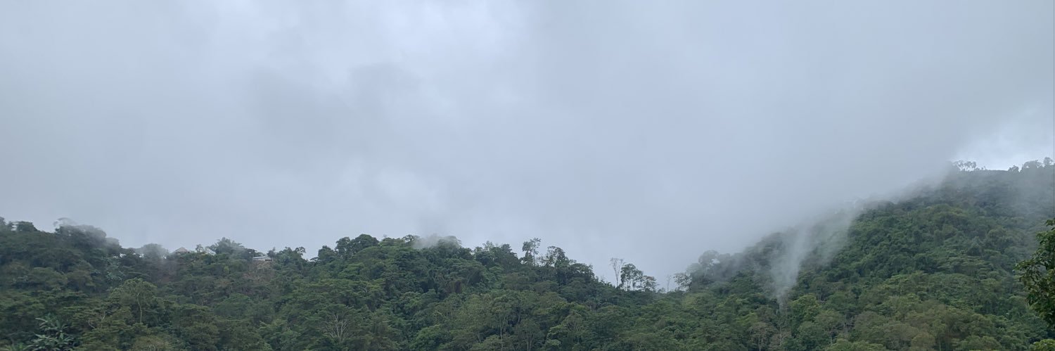 AlunaEjm's profile banner image
