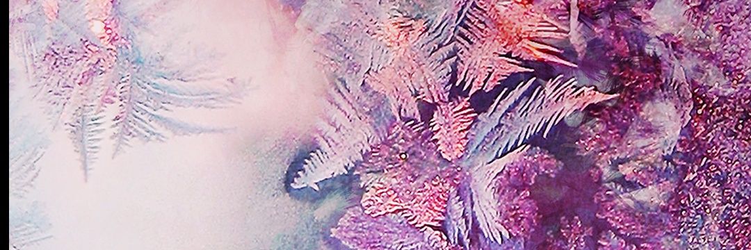 ver_kat's profile banner image