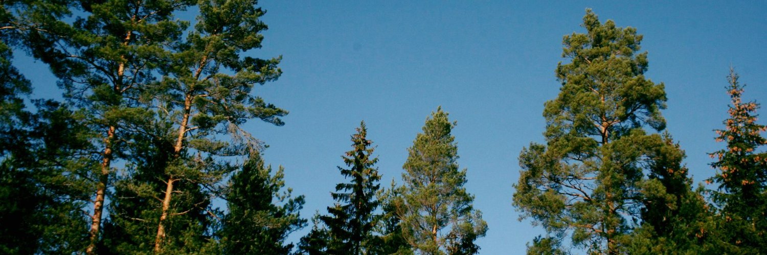 Ylyn 🐾 banner