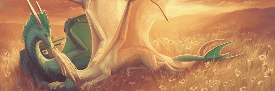Rshndrgn's profile banner image