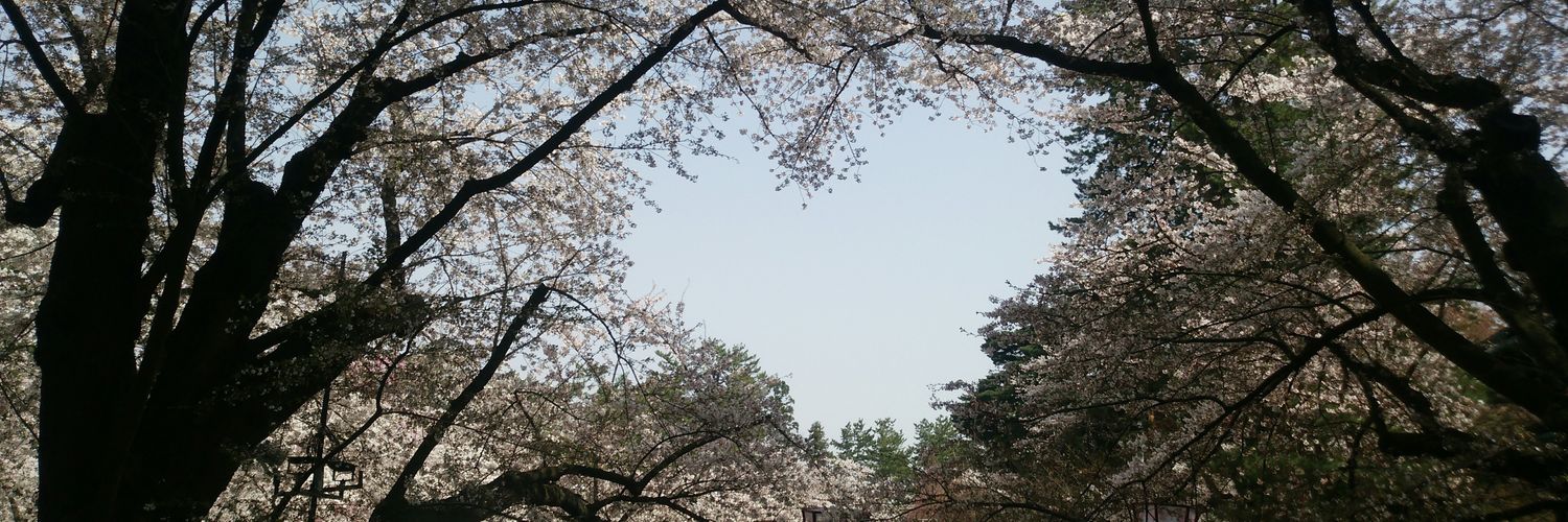 1saiSeiji's profile banner image