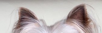 imimanan's profile banner image