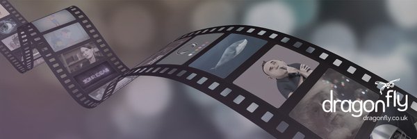 Dragonfly Profile Banner