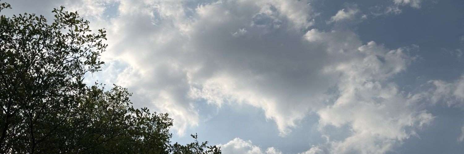 skpb82's profile banner image