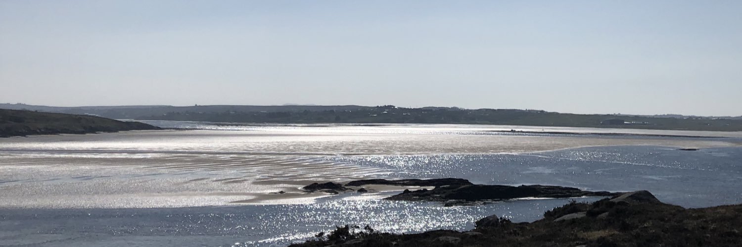 Ánna banner