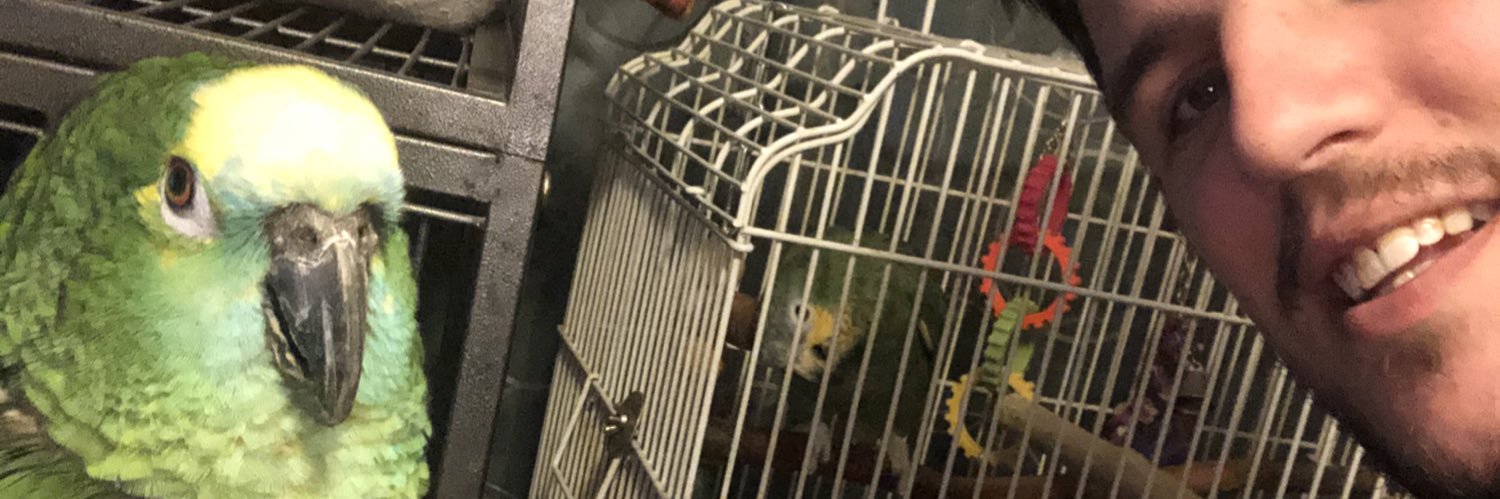 LTheparrots's profile banner image