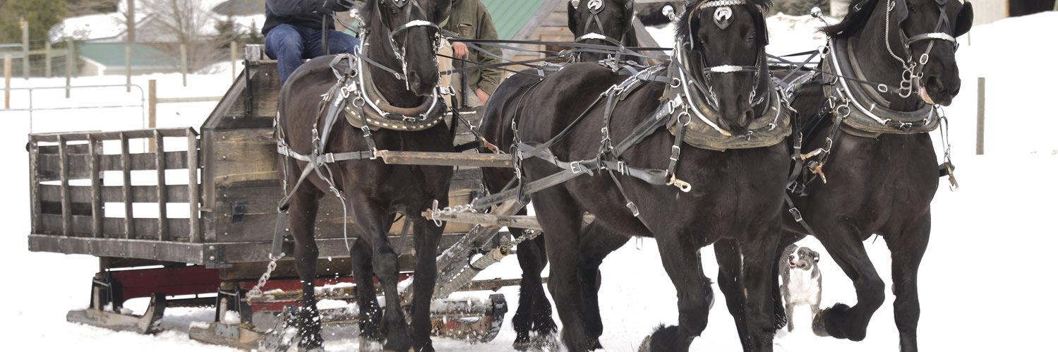 Charmingfare Farm banner
