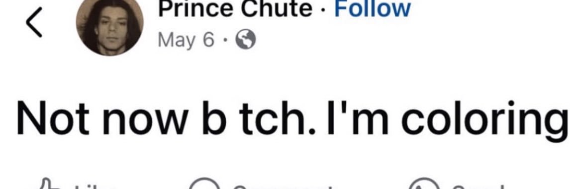bauhuzz🦉's banner