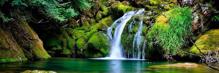 Nature ❤️🌿💚& Beautiful quote🧡 💛 banner