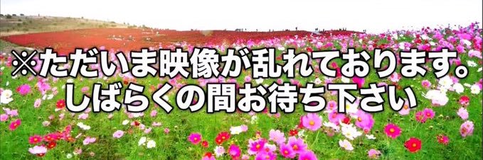 れいにーとだよ banner