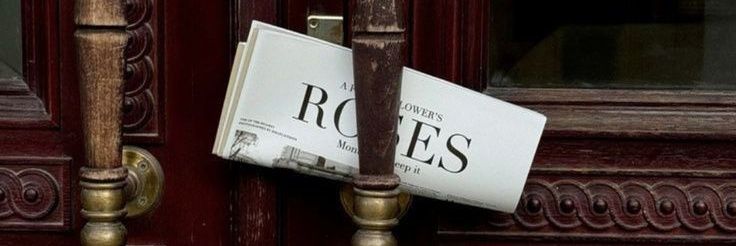 cathy • 🌺🌷🌸 banner