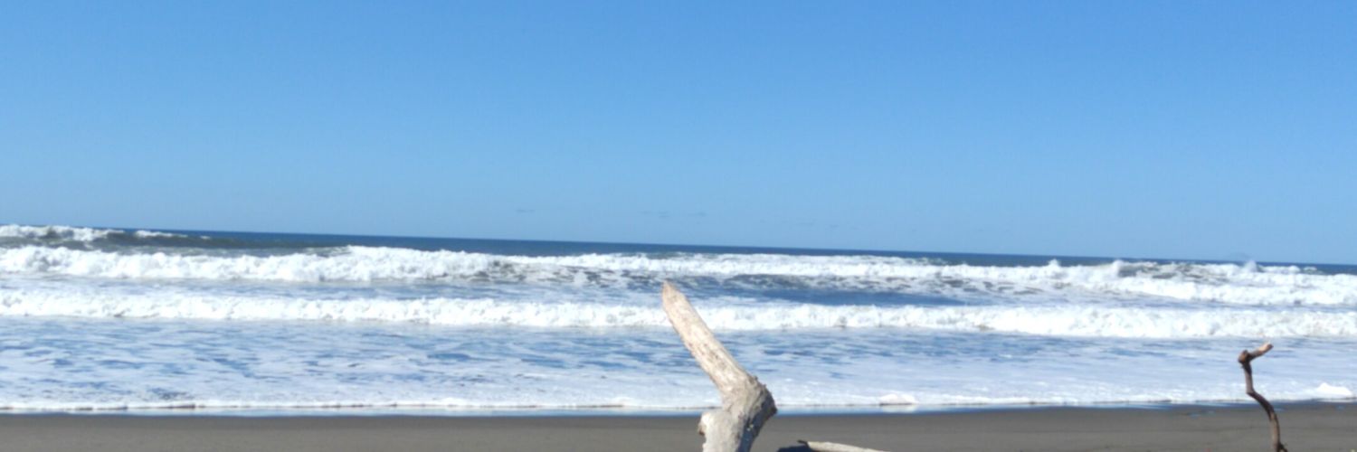 MegaBruno254's profile banner image