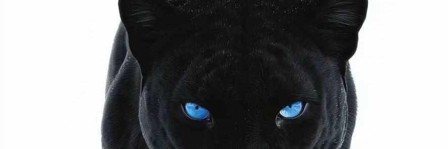 iamTollex's profile banner image
