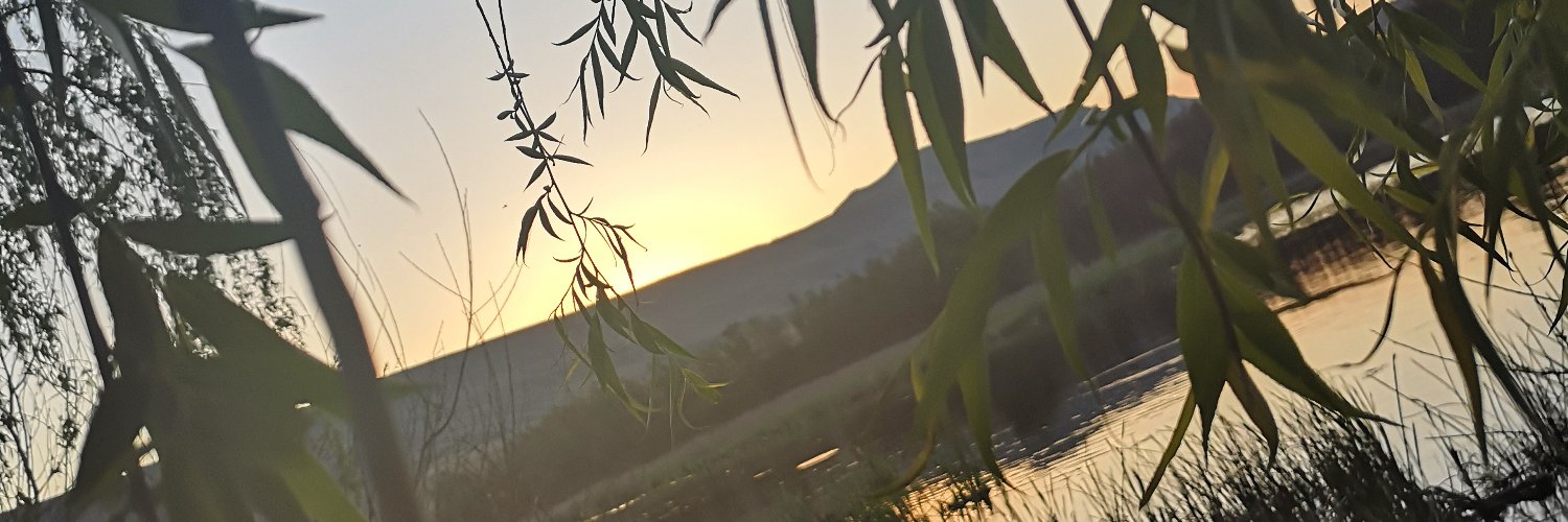 JenNunubug's profile banner image