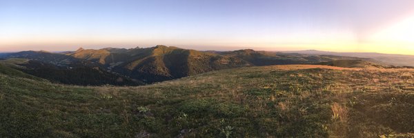 GabrielWalt Profile Banner