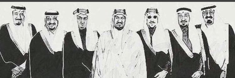haifasultan11's profile banner image