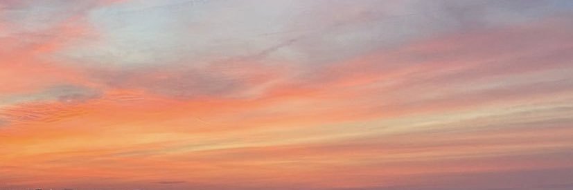 neereaugusto's profile banner image